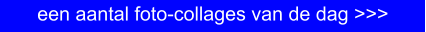 een aantal foto-collages van de dag >>>